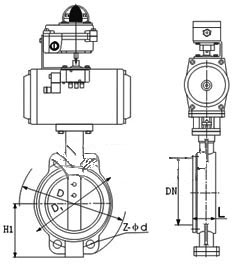 1-1FR21106394c.jpg