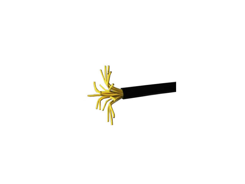 TVVP���ε��ݱ�������